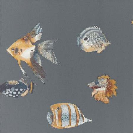 Обои Harlequin Anthozoa 111648