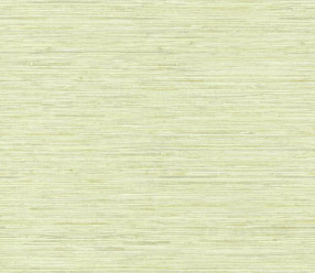 Обои York Tropics (WB5505)